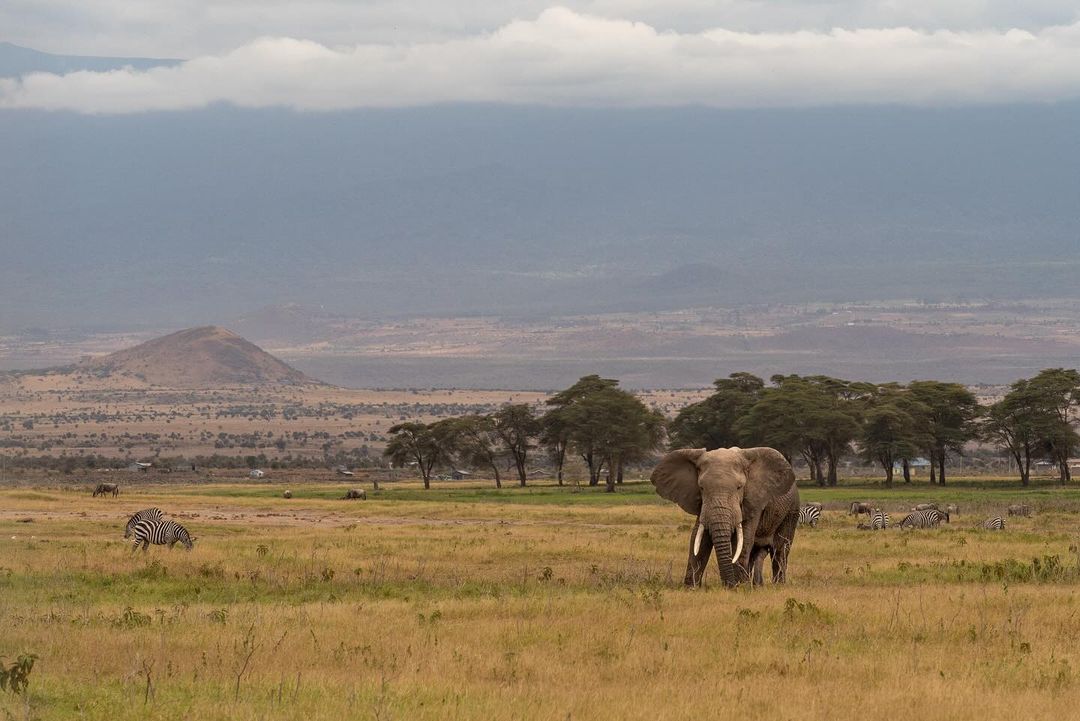 Incredible Tanzania