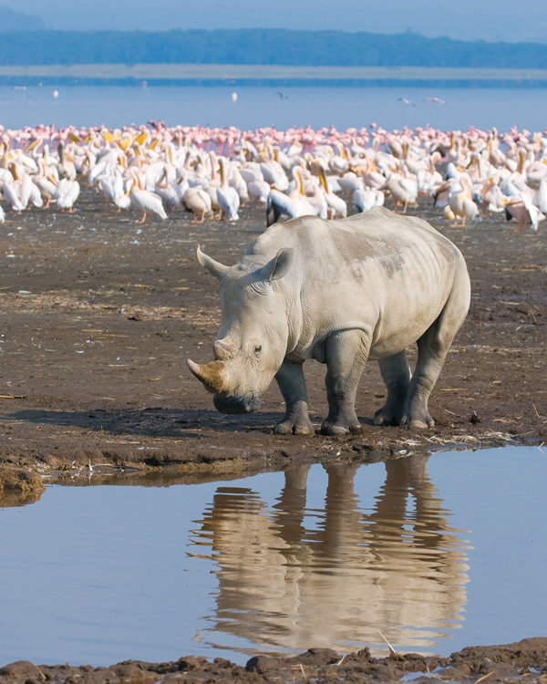 Lake Nakuru National Park