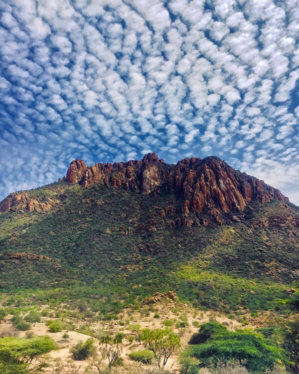 Shaba National Reserve