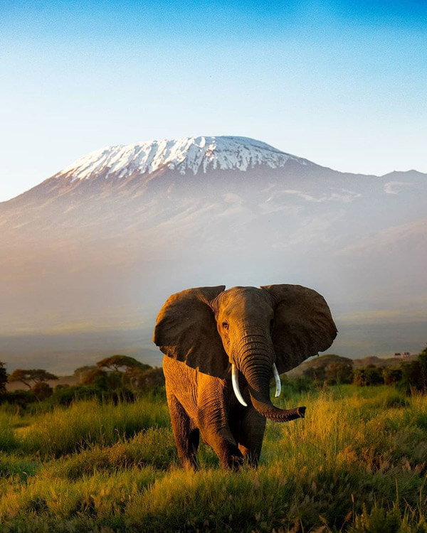 Amboseli National Park