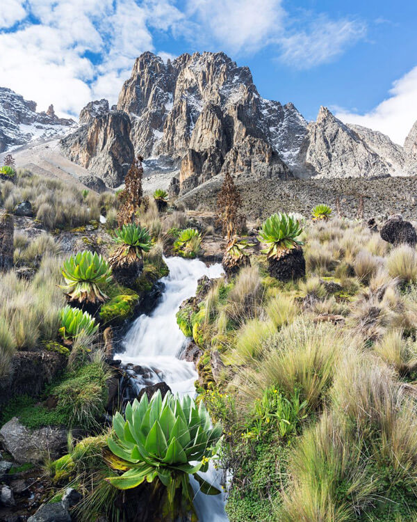 Mount Kenya National Park